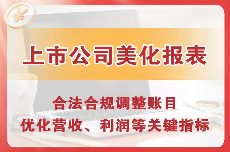 武冈上市公司美化报表